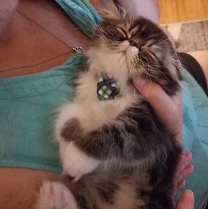 Meet your Posher, Debbie